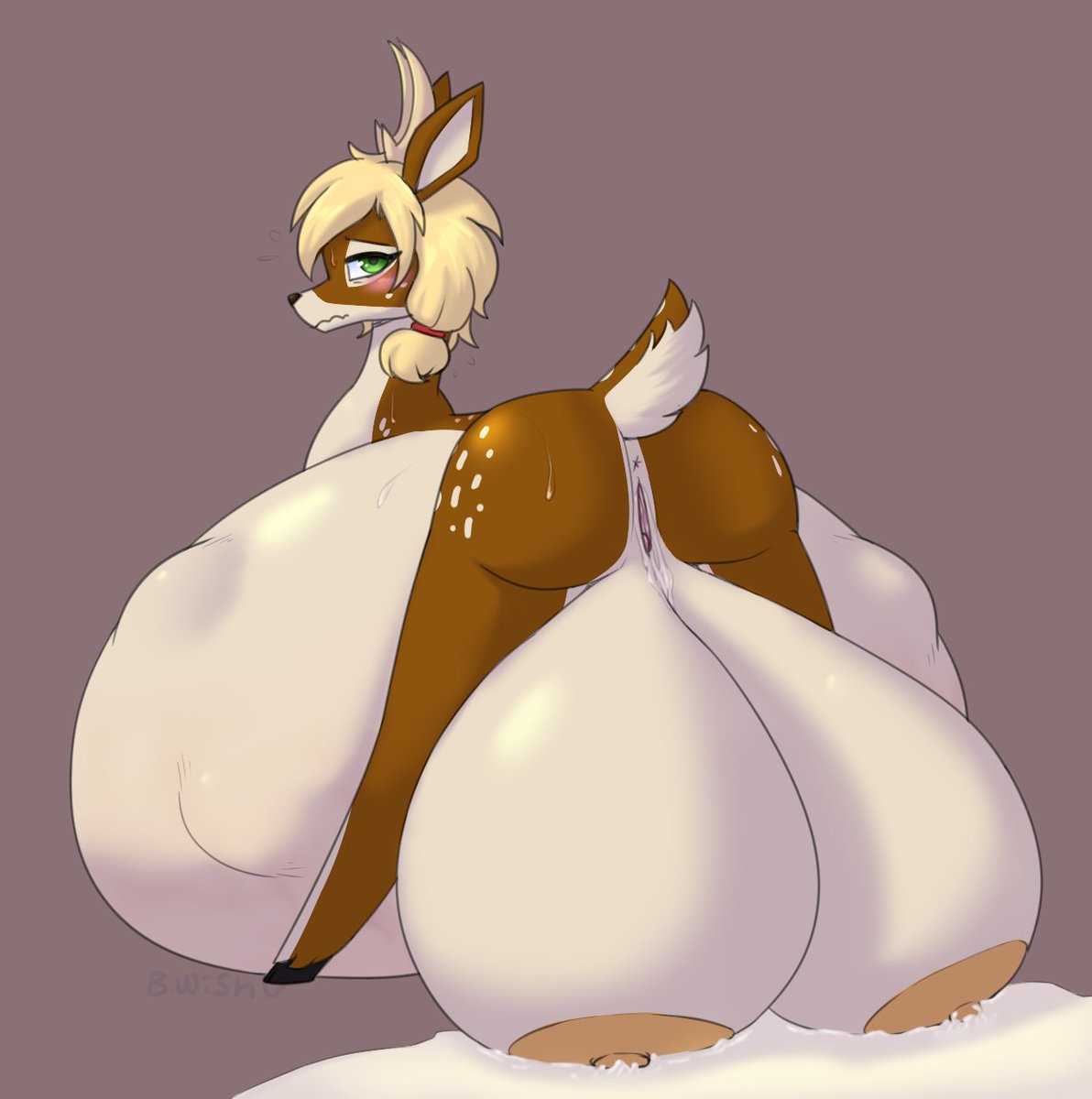 Bumpy Wish 🌼 tweet media