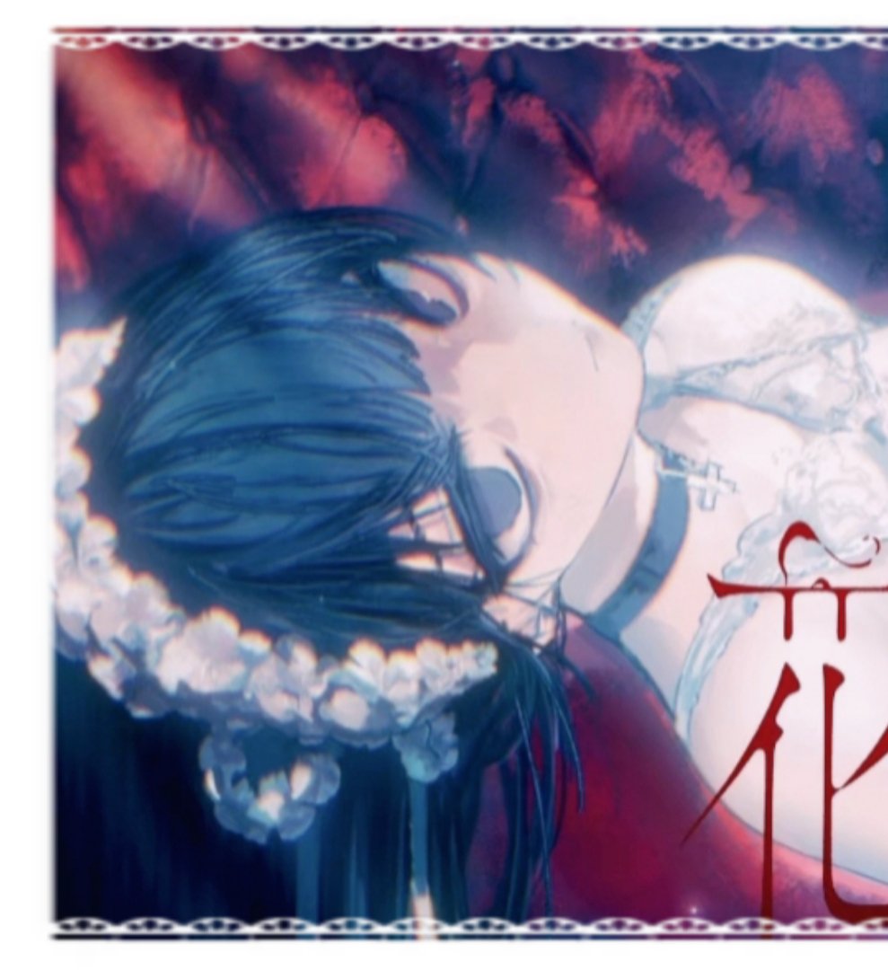 neco🐈‍⬛♡ tweet media