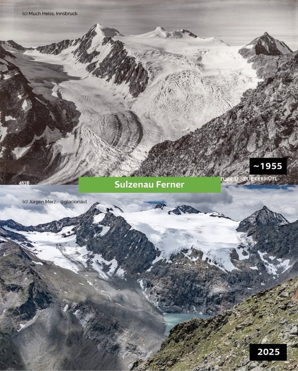 Fabian Pimminger tweet media