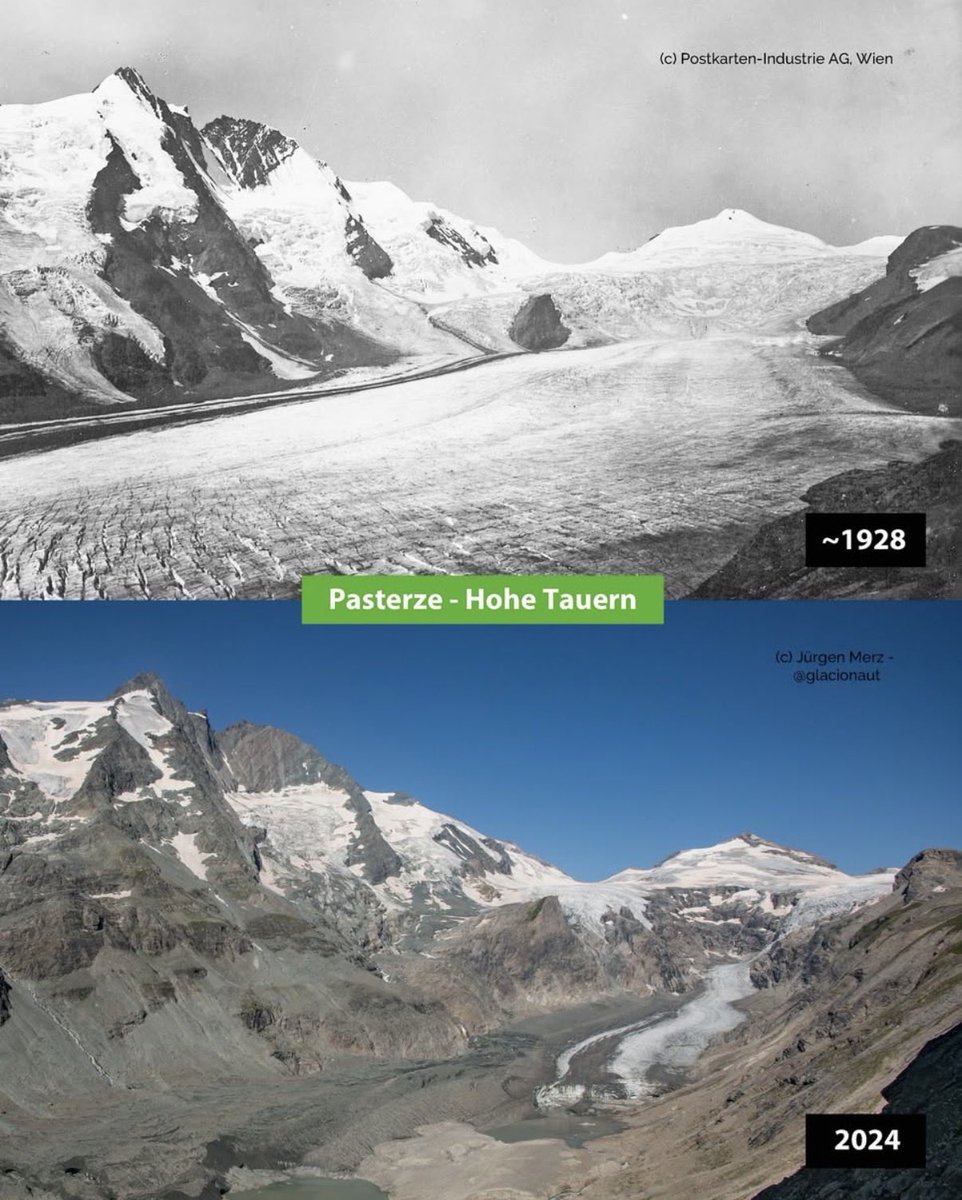 Fabian Pimminger tweet media