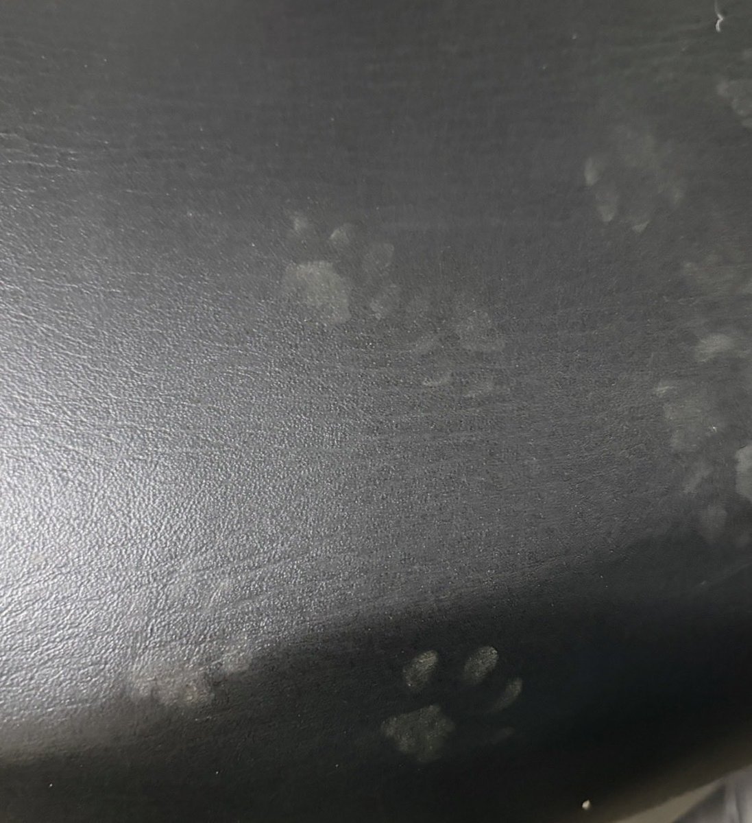 𝓟𝓸𝓸𝓵 𝓛𝓸𝓸𝓹 📡 波 · 路譜⚡️ᴄᴏᴠᴇʀ「Blue Jeans」 tweet media