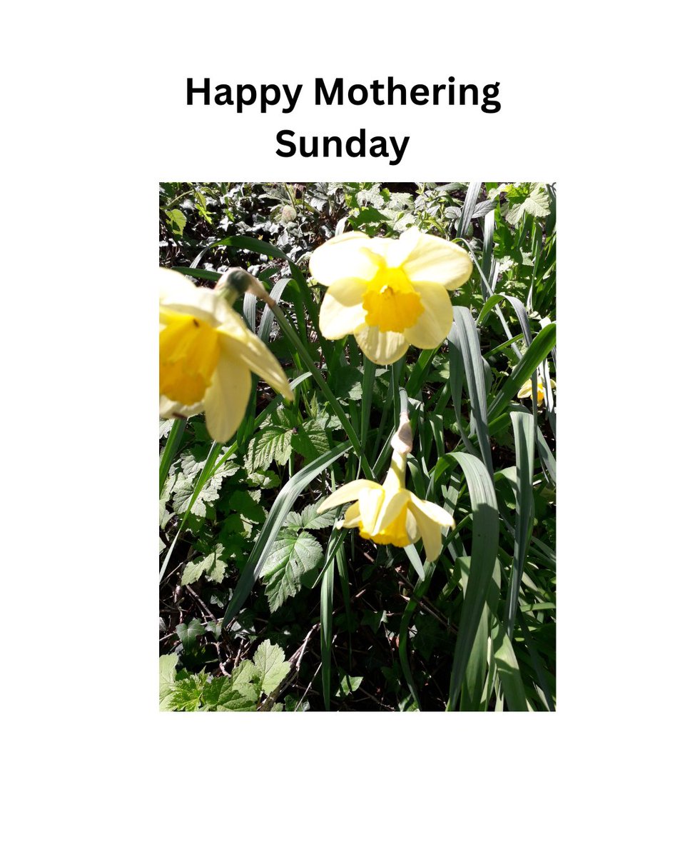 Michelle Styles tweet media