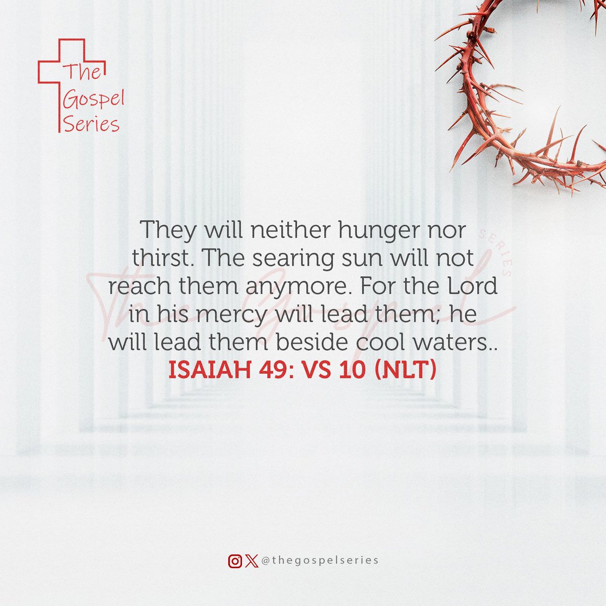 The Gospel Series tweet media
