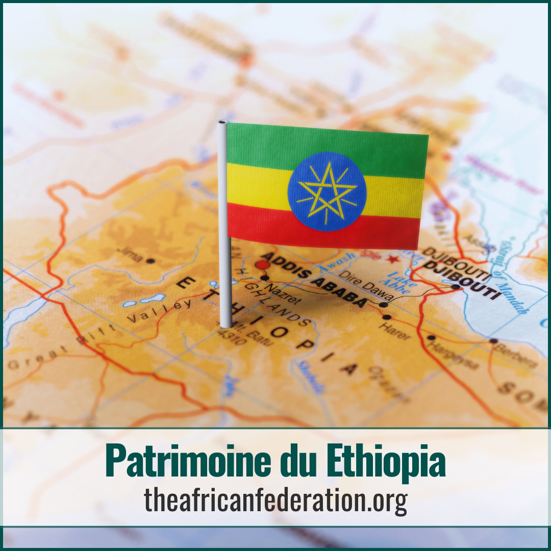 The African Federation tweet media