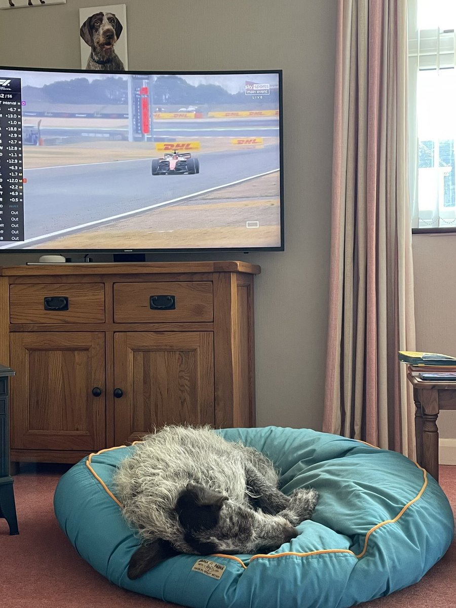 Boo #SaltySeaDog tweet media