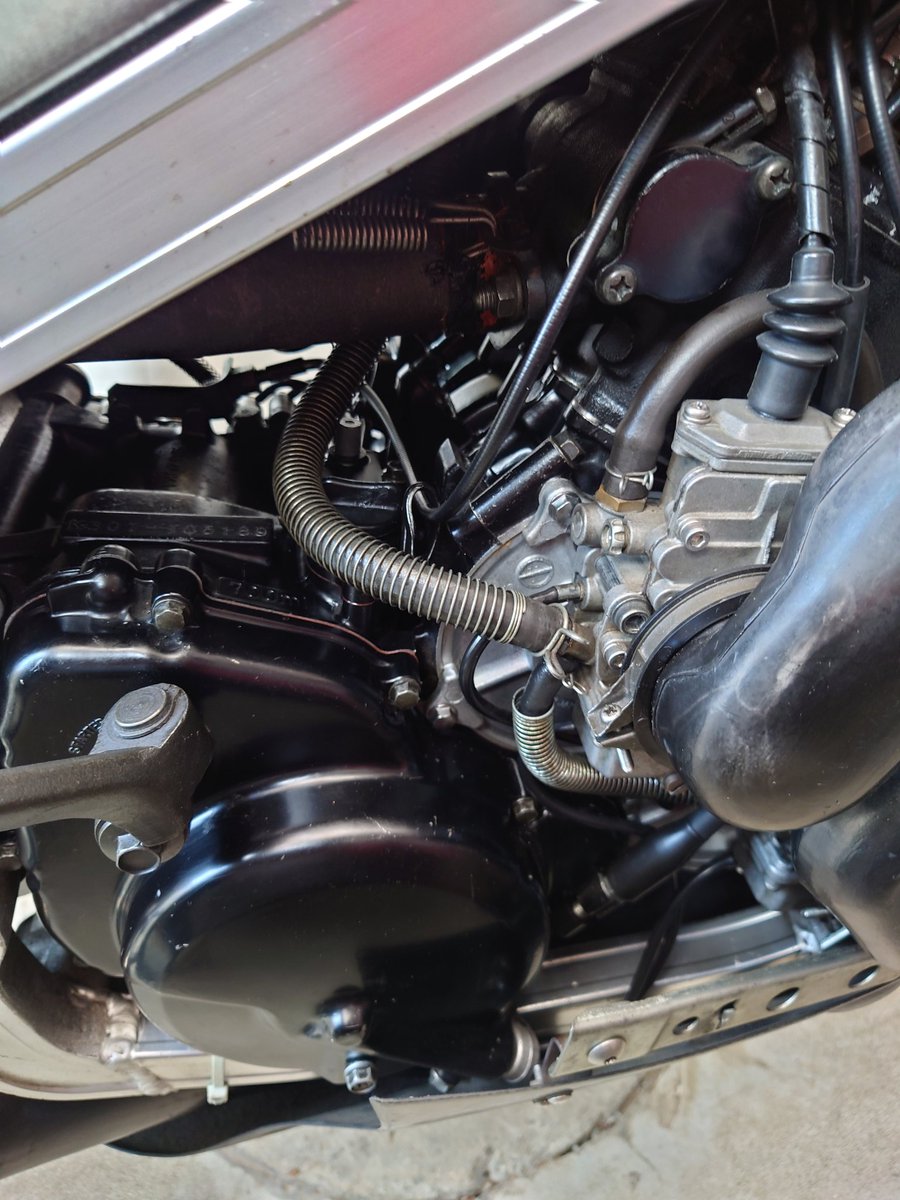 こーじ@RT Green ωorm tweet media