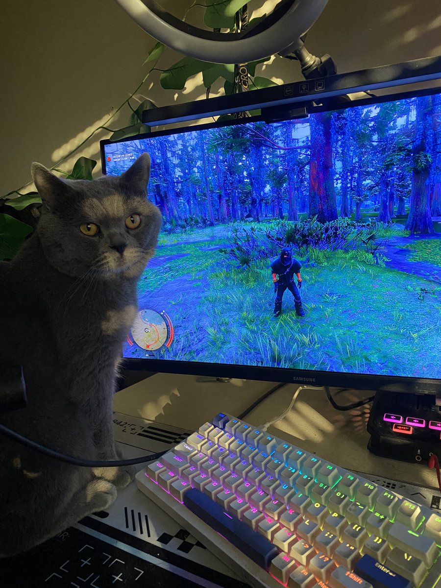 صباح الخير 🫡