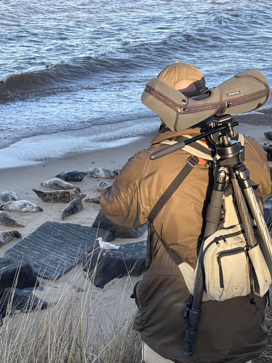 Steve Richards tweet media