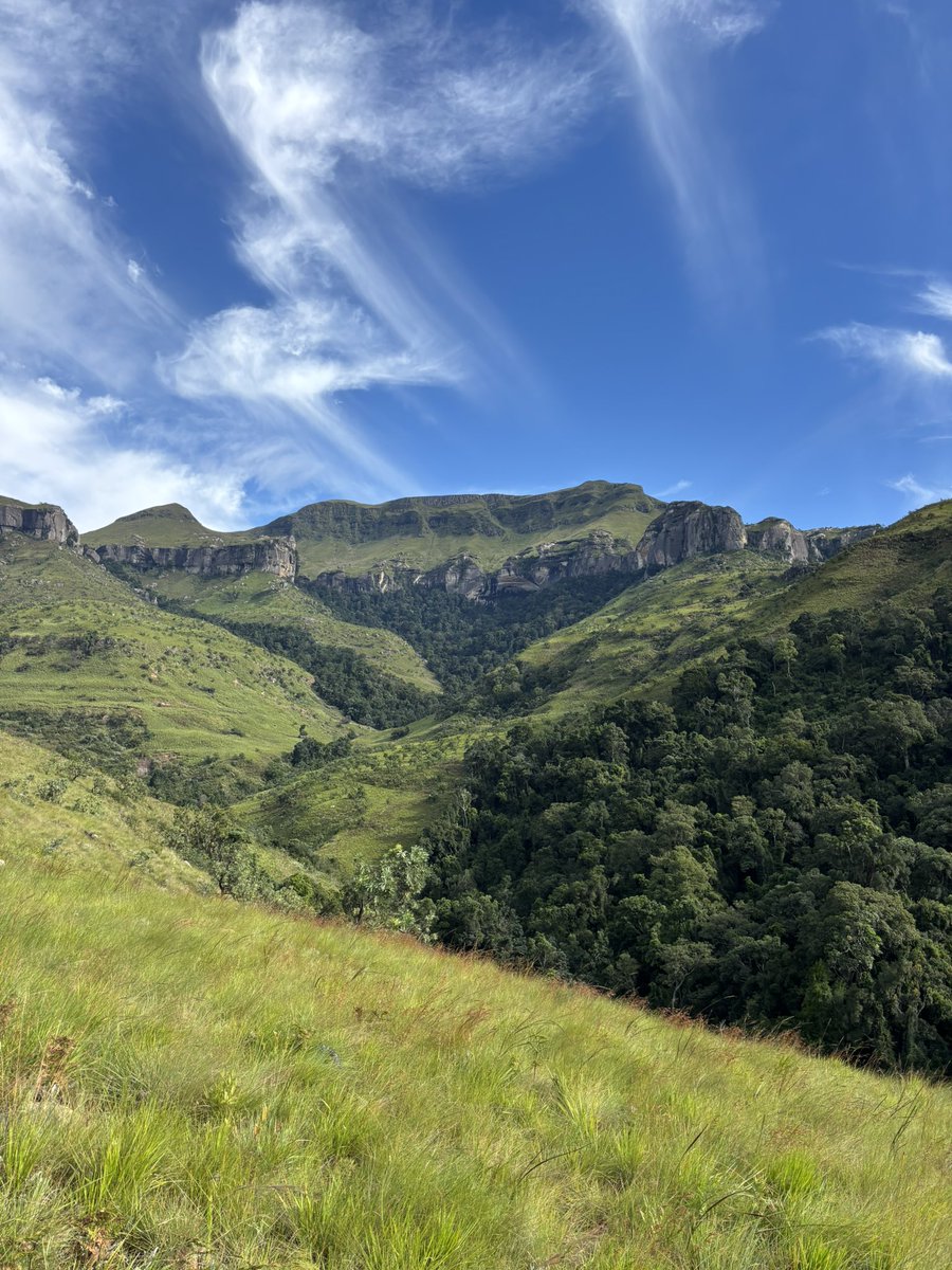 Jeanette Verster tweet media