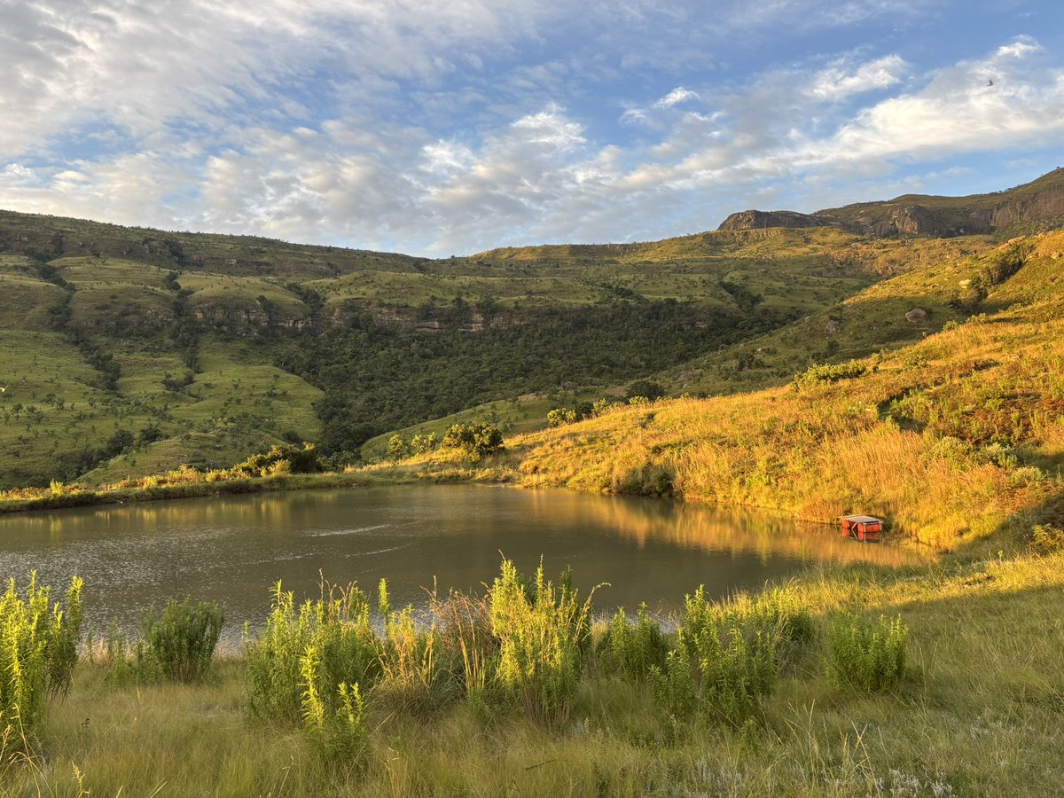 Jeanette Verster tweet media