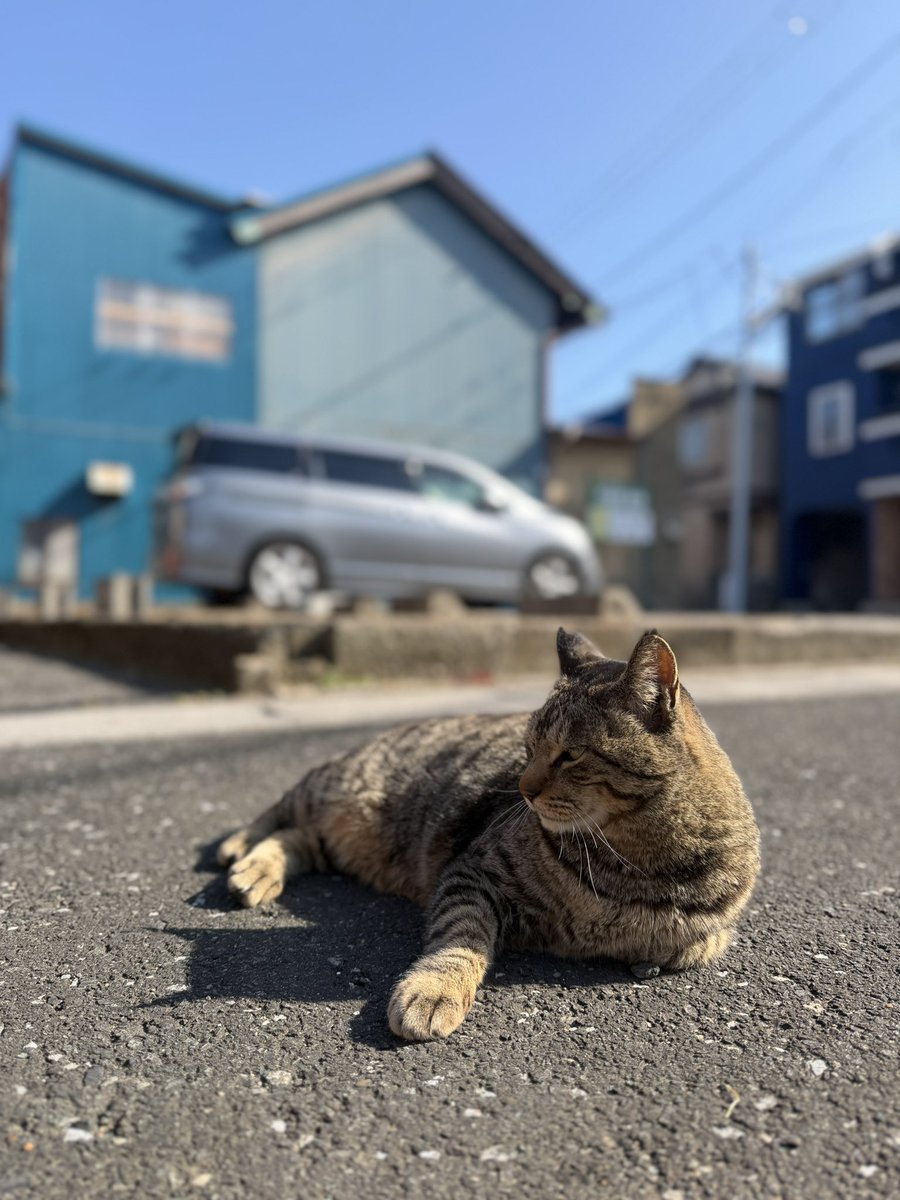 imagecat's tweet photo. https://t.co/ZrUrC321ql