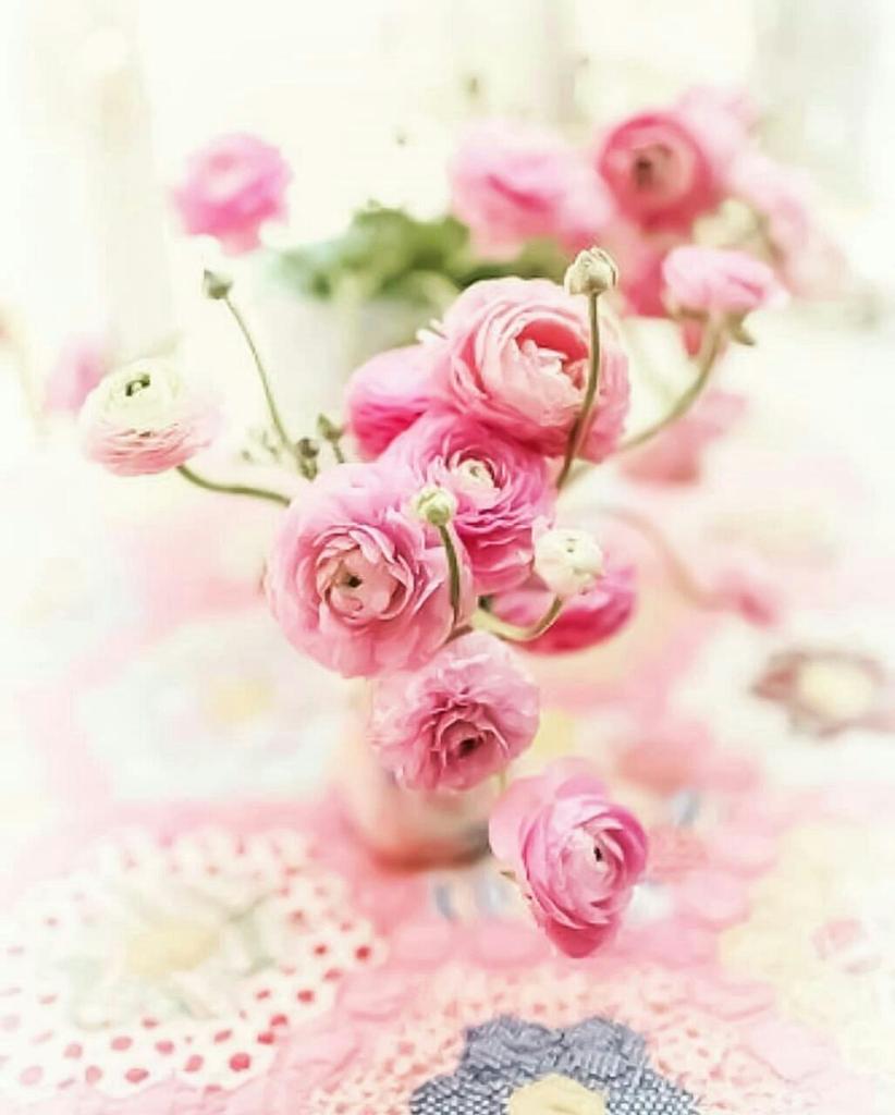 nagahlibya's tweet photo. ✍  ثمّة طمأنينة تلمسها بالقُرب منهم،و صفاء ينبع بين طيّاتهم، وطج جمال ينعكس على ما حولهم، و تجد روحك تُحلِّق في آفاق الهناء بصُحبتهم.
✍ صباح النور 🌹 https://t.co/SMmNgorf4W