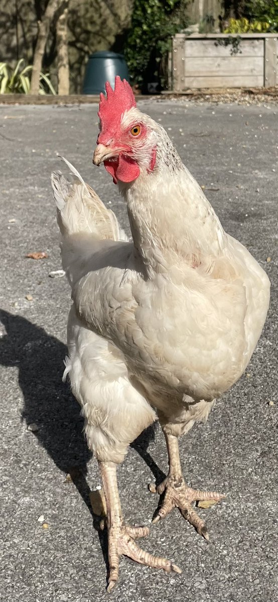 Stifyn Parri 🌈 tweet media