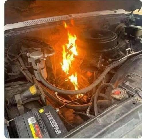 F1 Fanático tweet media