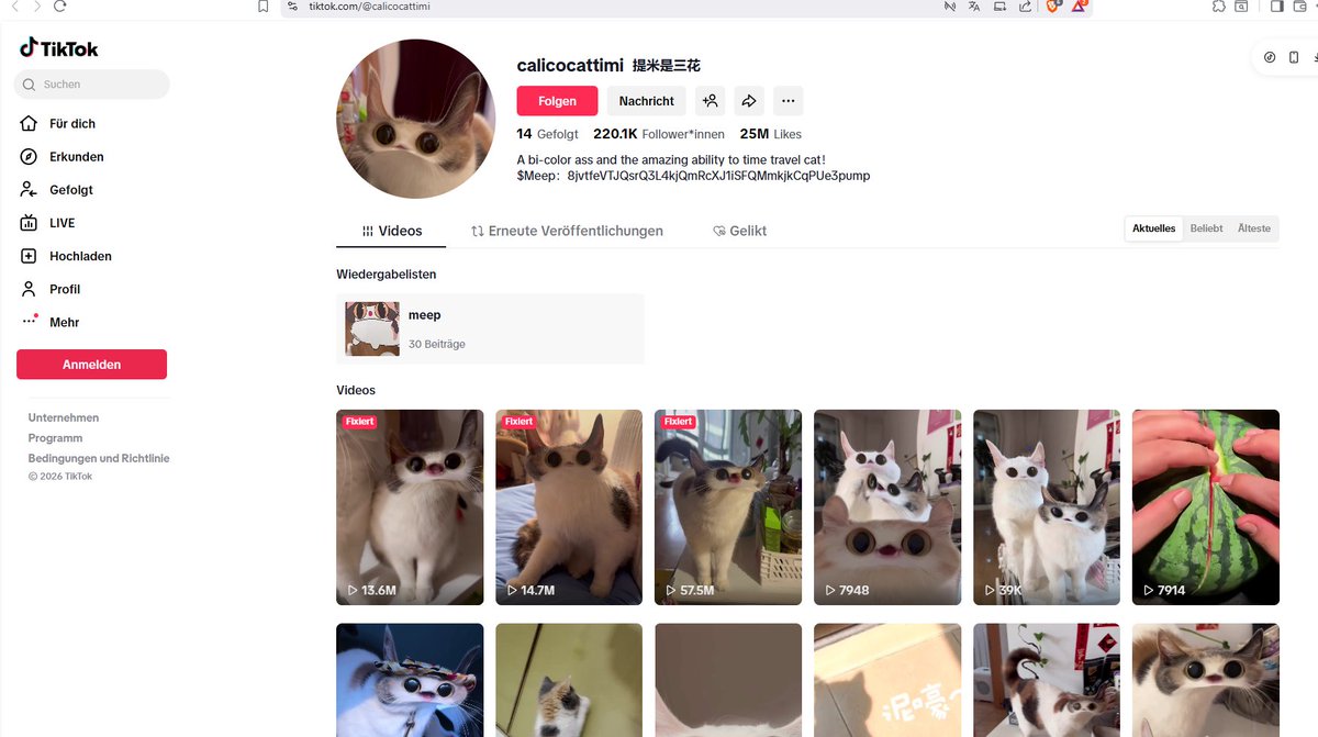 Studio Sataras tweet media