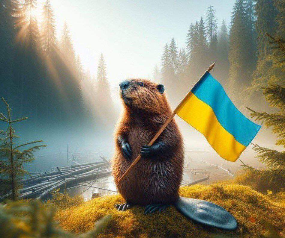 MAKS 25 🇺🇦👀 tweet media