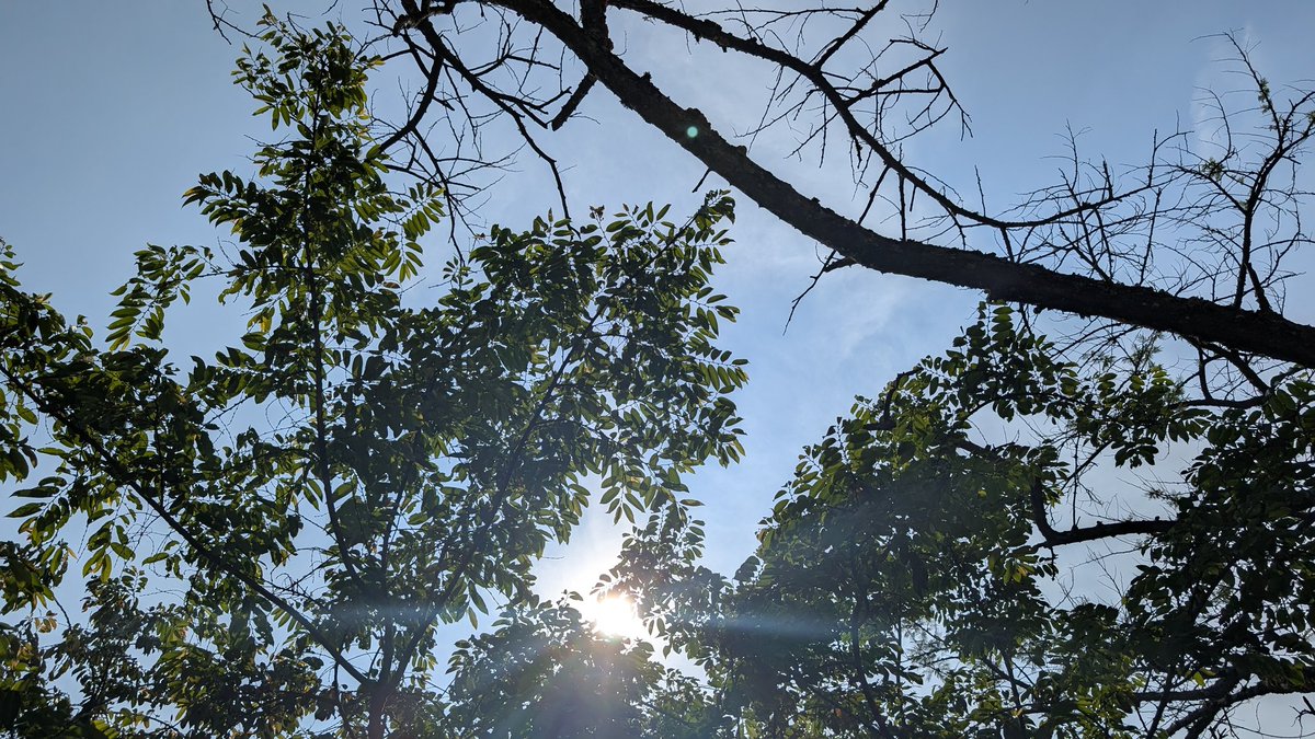 Fonyo Rwiyereka tweet media