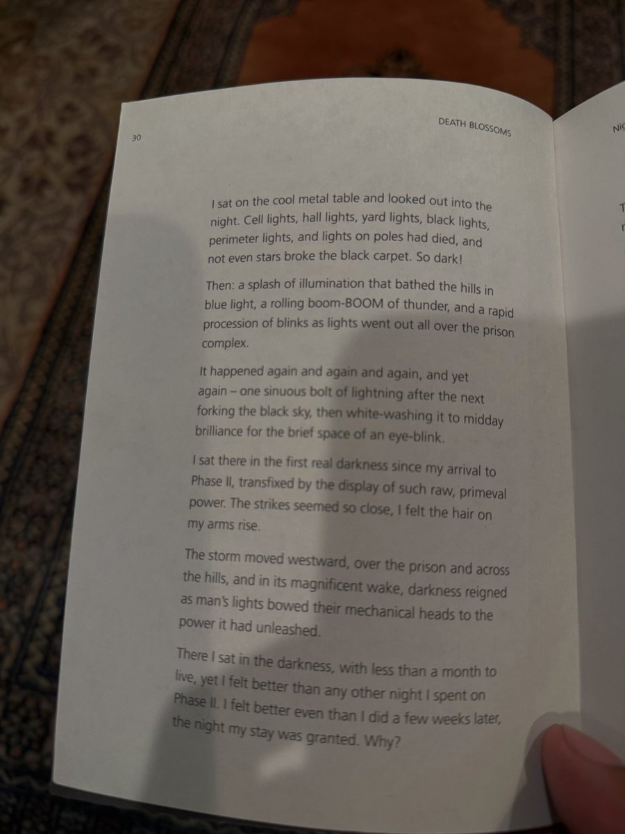 L E F T, PhD ⚫️ tweet media