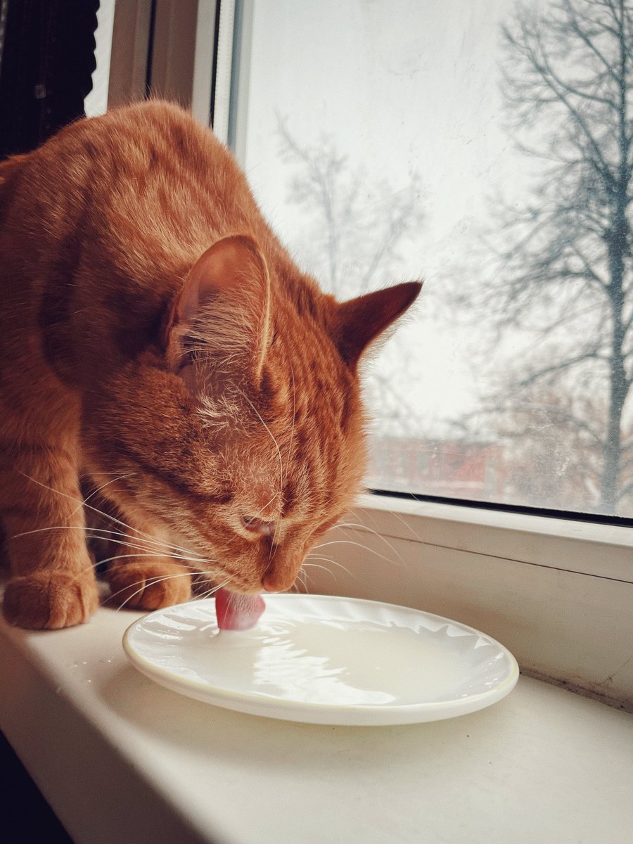 Aleksey Eltsöv tweet media