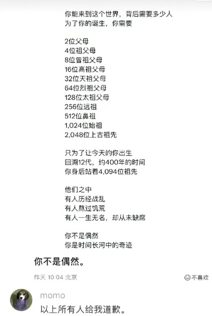 夜之城鼠鼠 tweet media