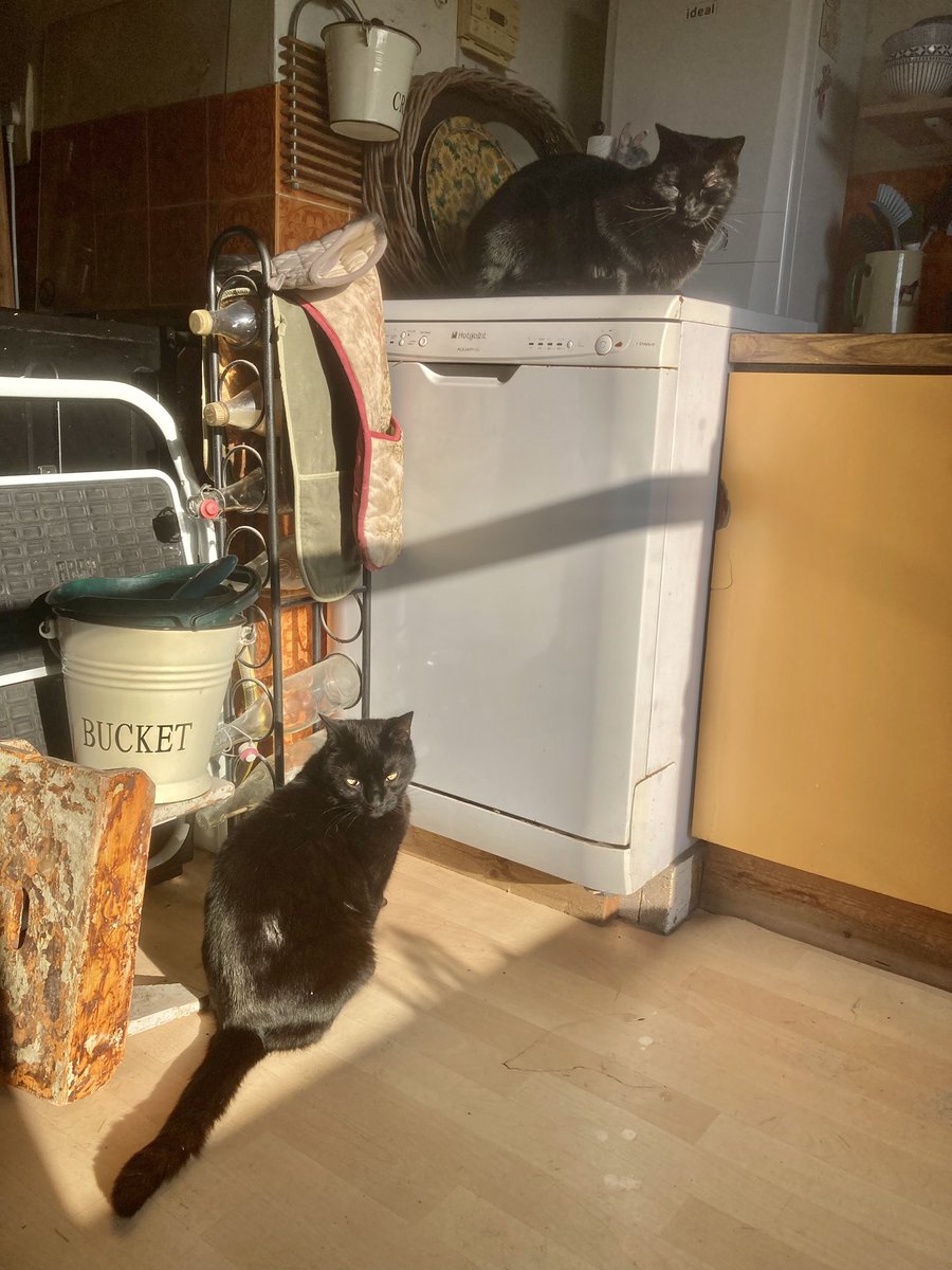 John Berry tweet media