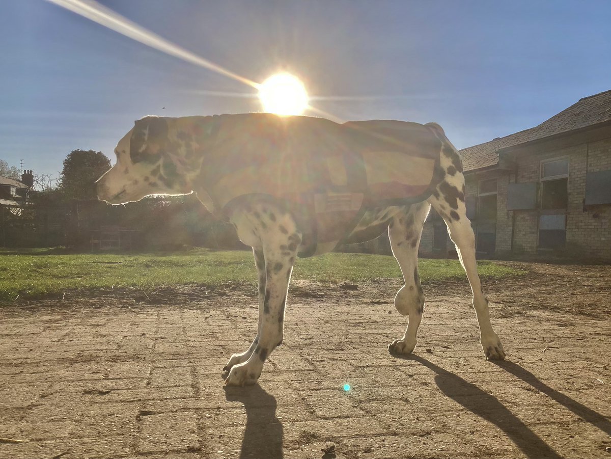 John Berry tweet media