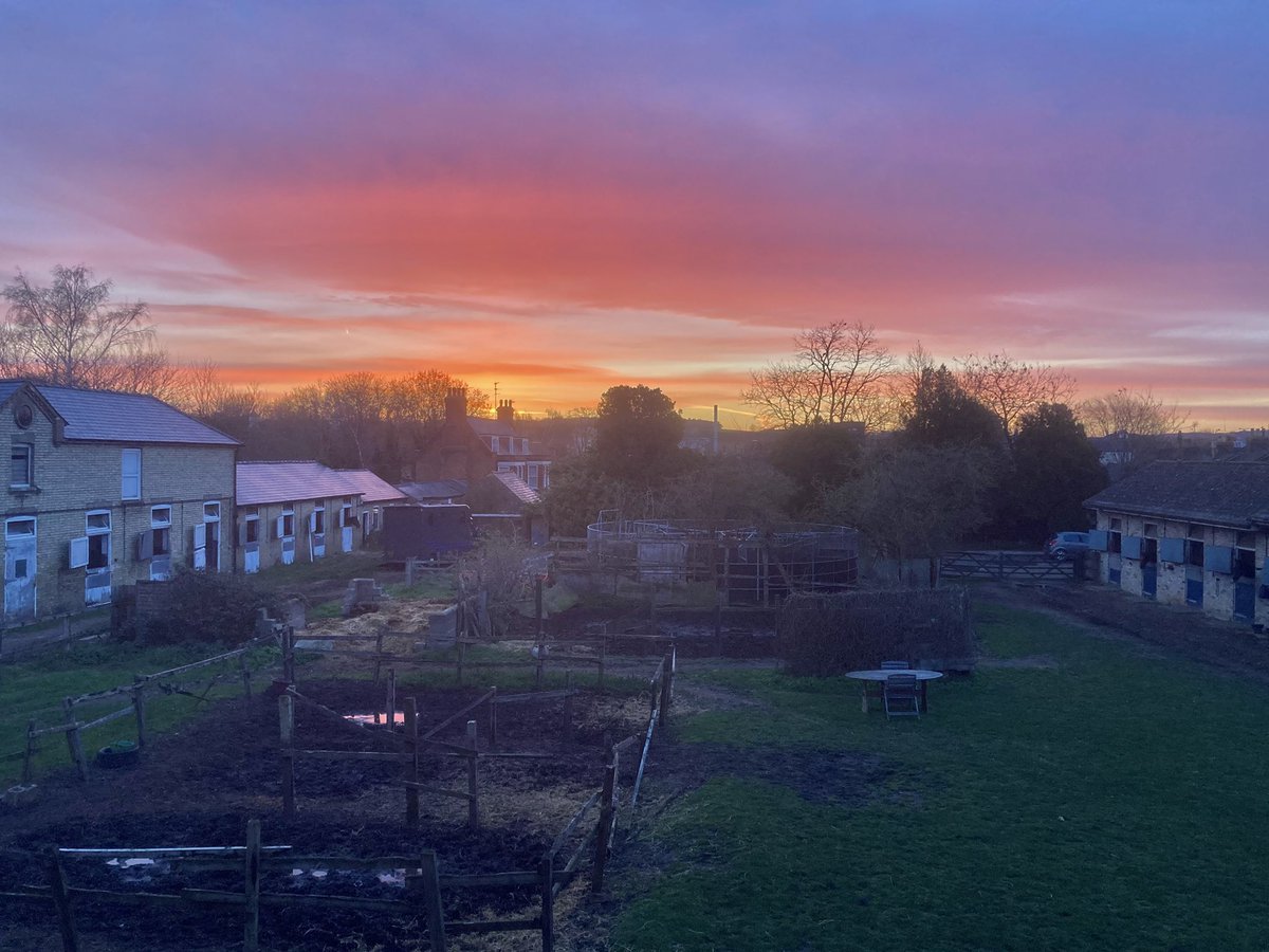 John Berry tweet media