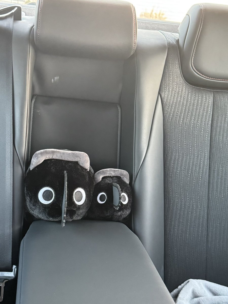 nero🌙 tweet media