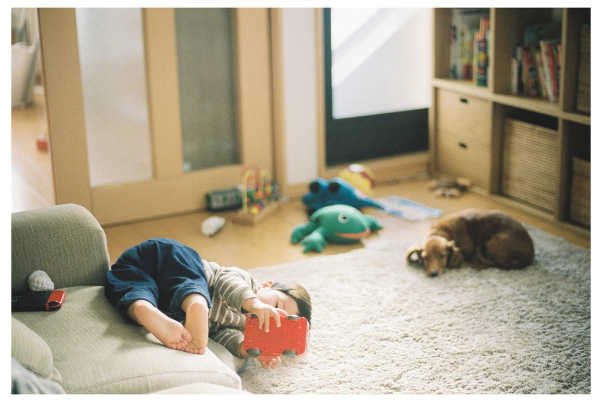 busse_2410 tweet media