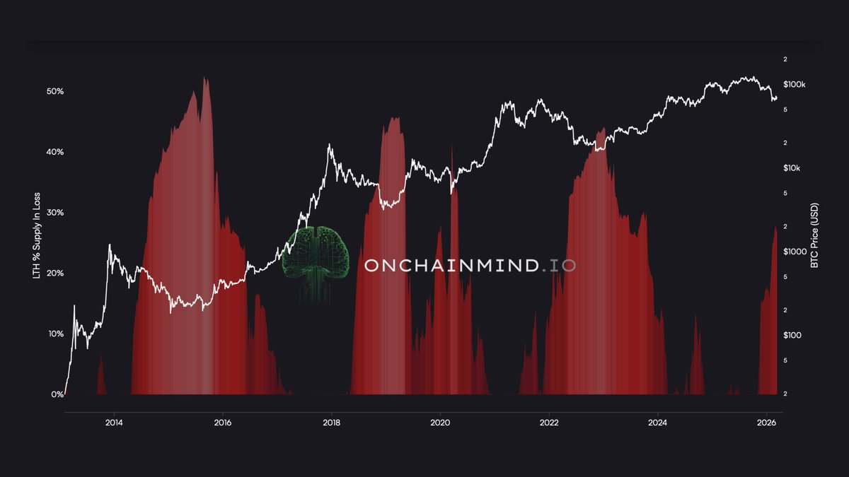 On-Chain Mind tweet media