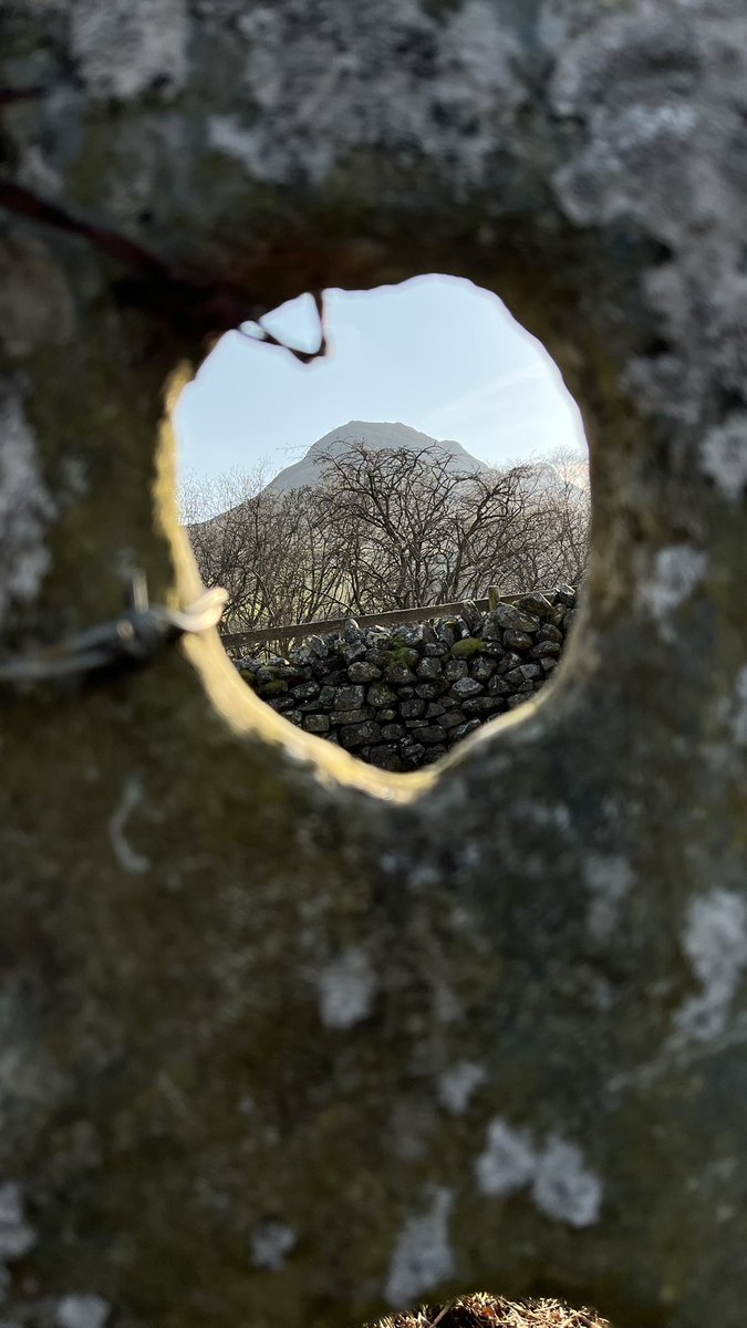 Charles Bewley tweet media