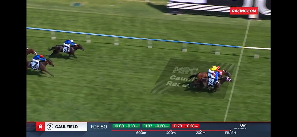 The X Trials tweet media