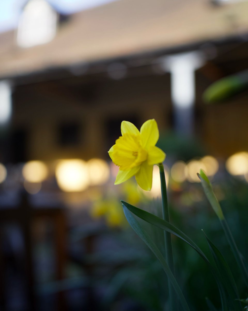 Kings Head Aylesbury tweet media