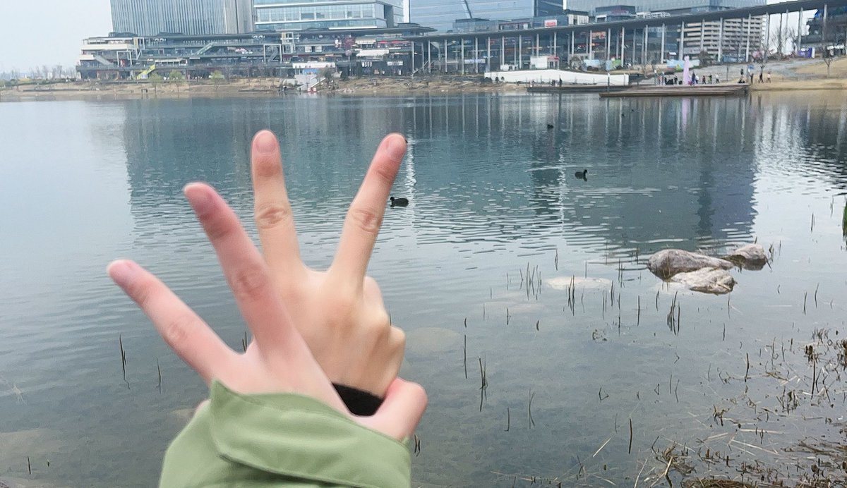 蹦蹦小圆帽 tweet media