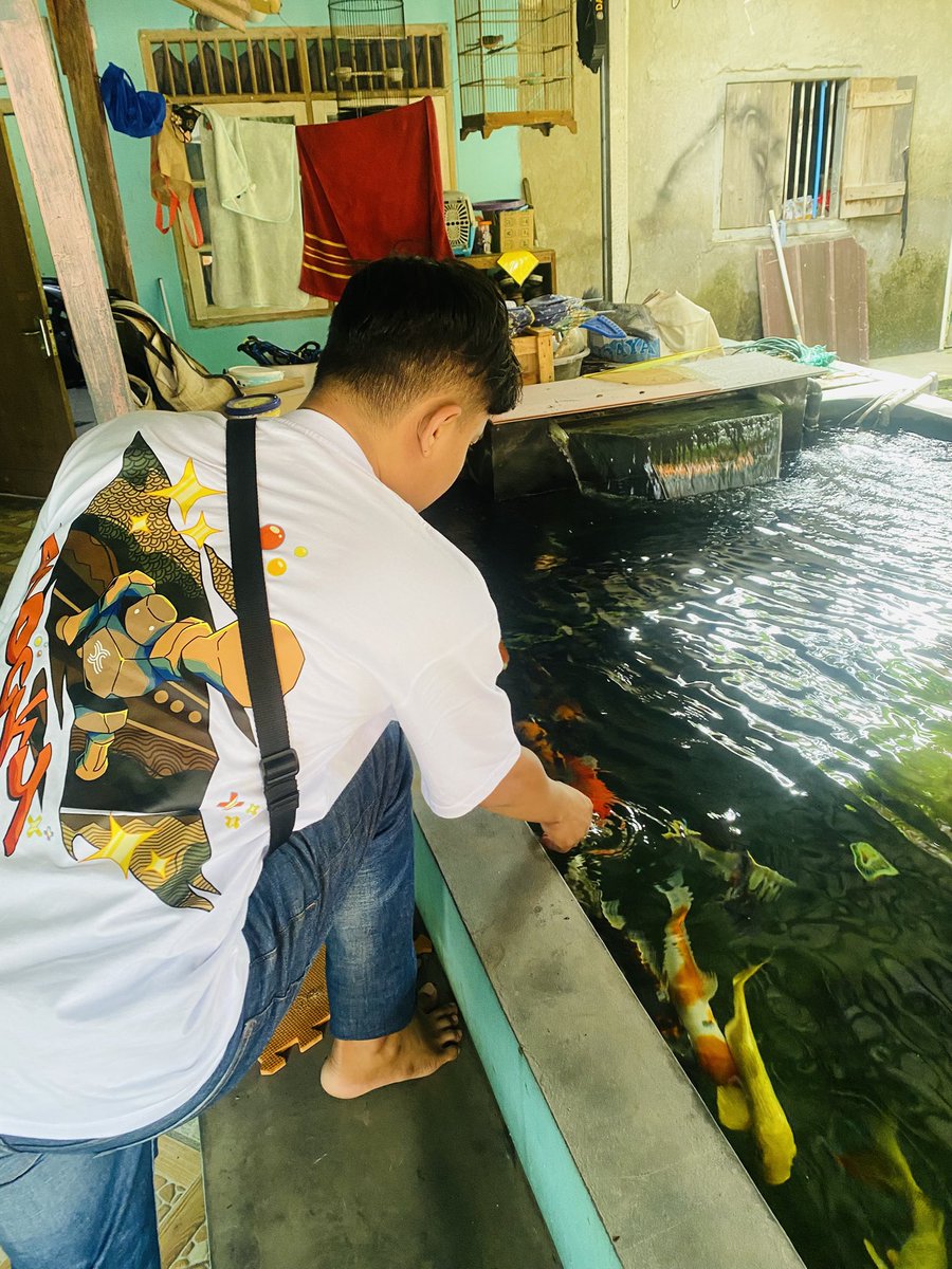 kittz.ip tweet media