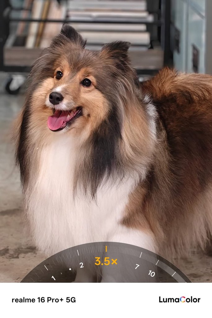 realme Thailand tweet media