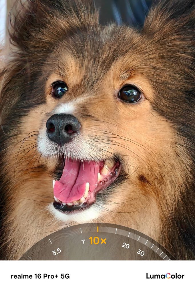 realme Thailand tweet media