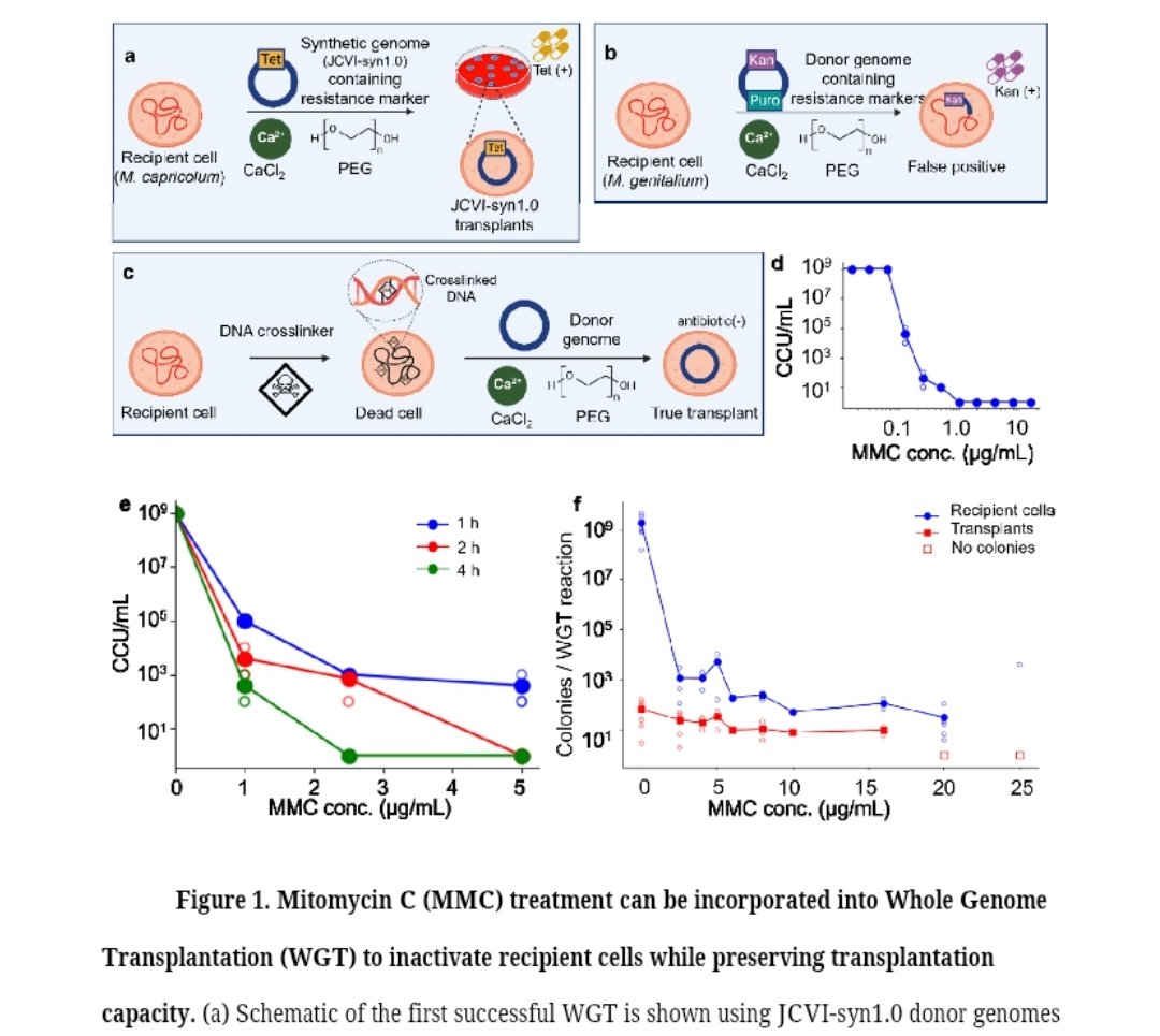 Olivier Borkowski tweet media