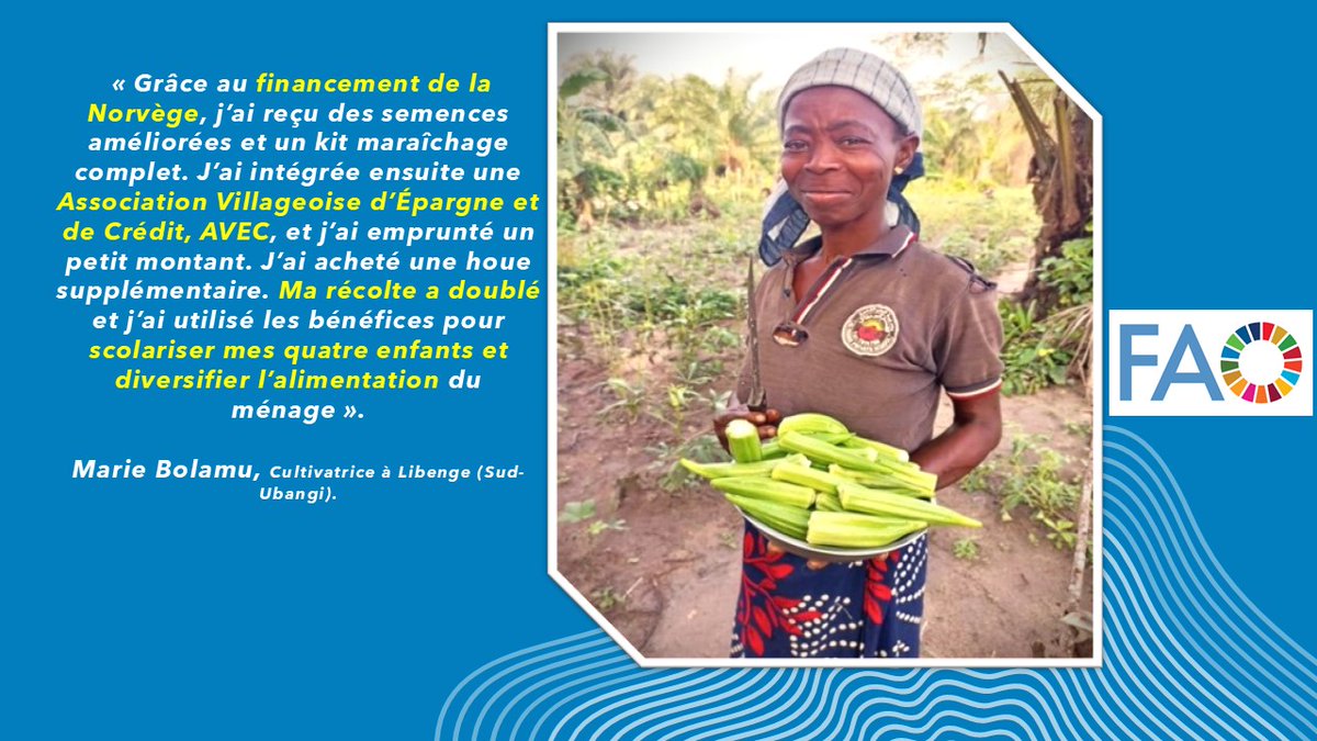 FAORDCongo's tweet photo. 📍Message de reconnaissance d’une bénéficiaire du projet de résilience dans les #Ubangi pour la saison #A2026.
Mme #MarieBolamu apprécie l’assistance @FAO, 💰Norvégien, qui a changé son #bienêtre et sa considération dans sa communauté de #Libenge au #SudUbangi.
#FAO #PAM https://t.co/hixJHEKeiI