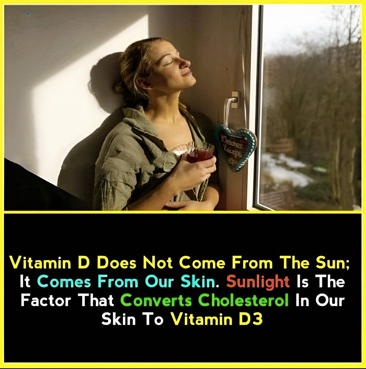 @FactExplorer tweet media