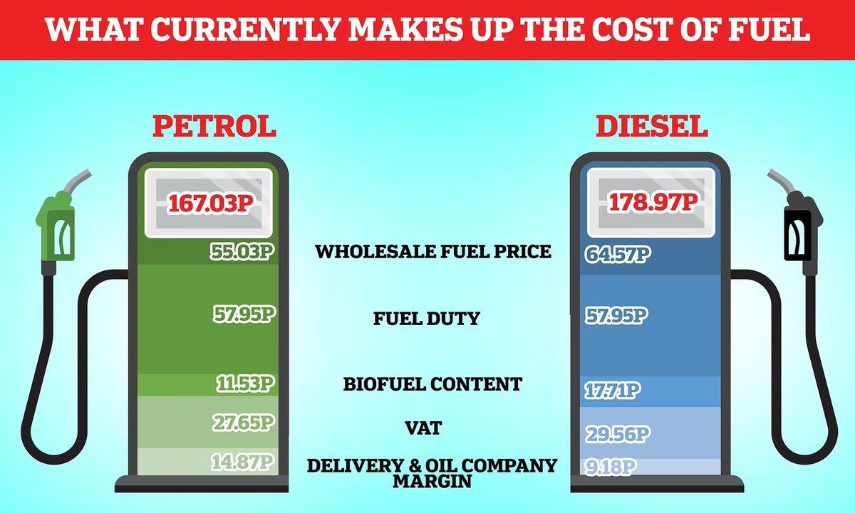 Wolf 🐺 tweet media