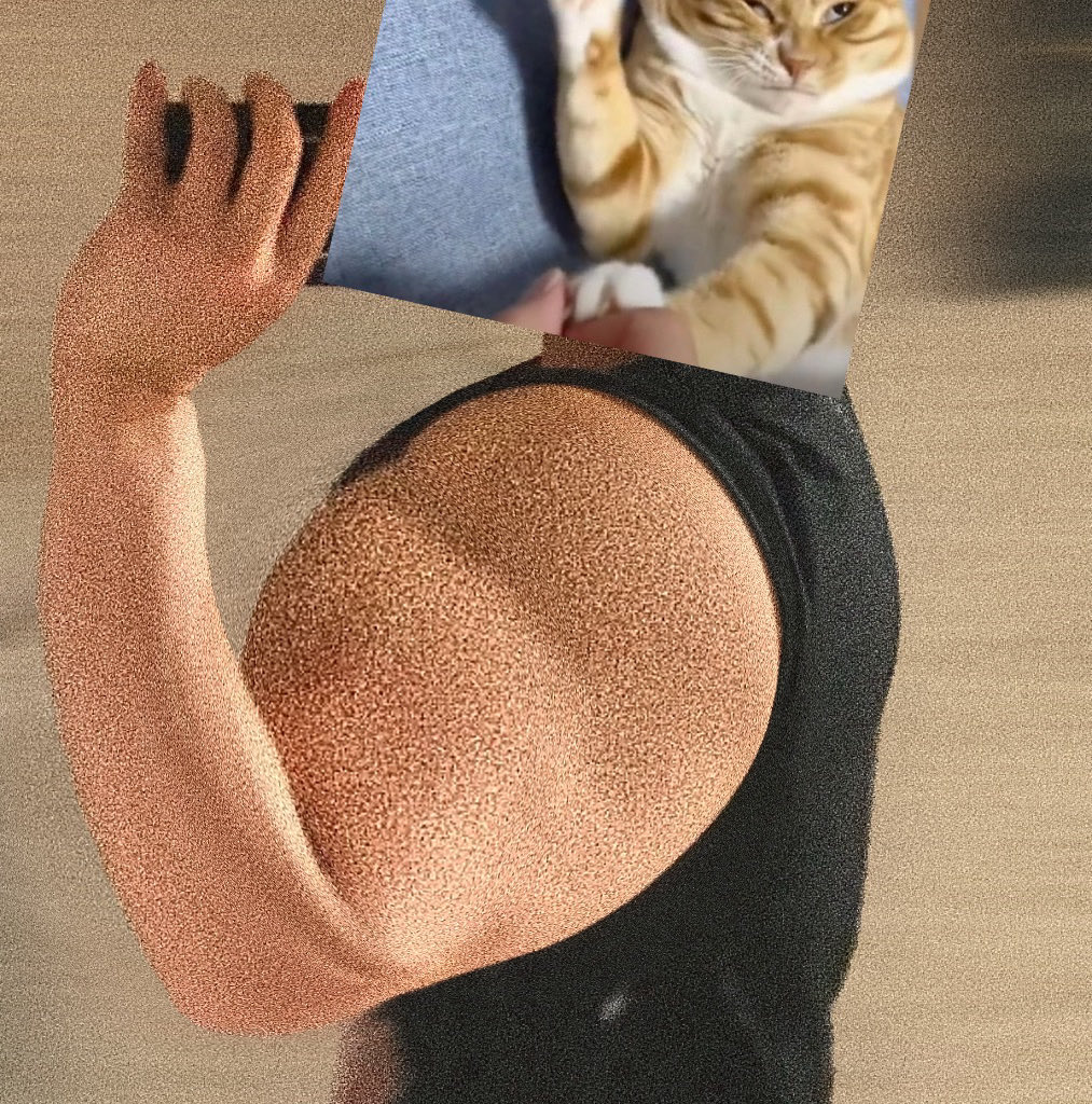 The Quibbler tweet media