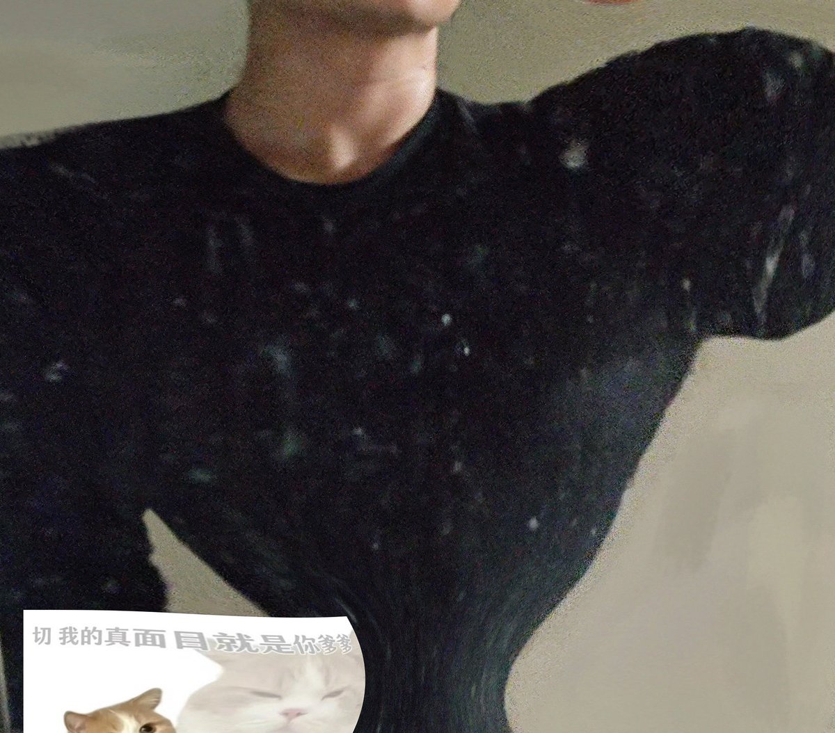 The Quibbler tweet media