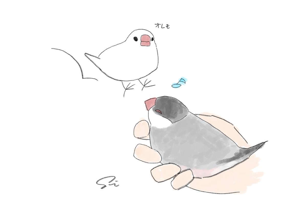 スギモトモモコ tweet media