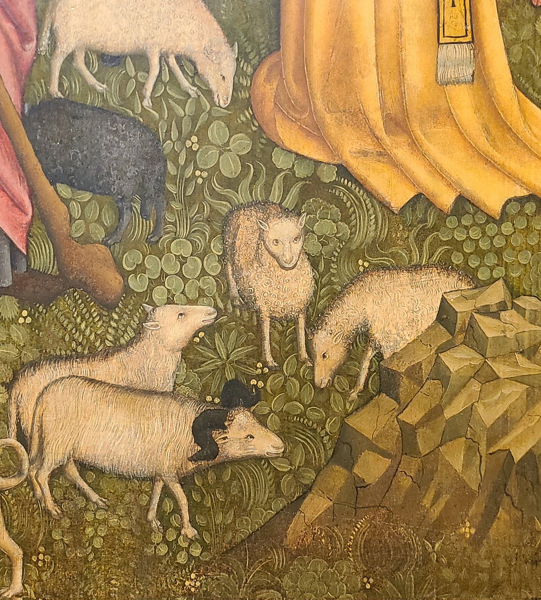 Dan B ⛪🎨🐦 🇺🇦 🇦🇫 🇬🇱 🇮🇷 #PlanetFirst tweet media