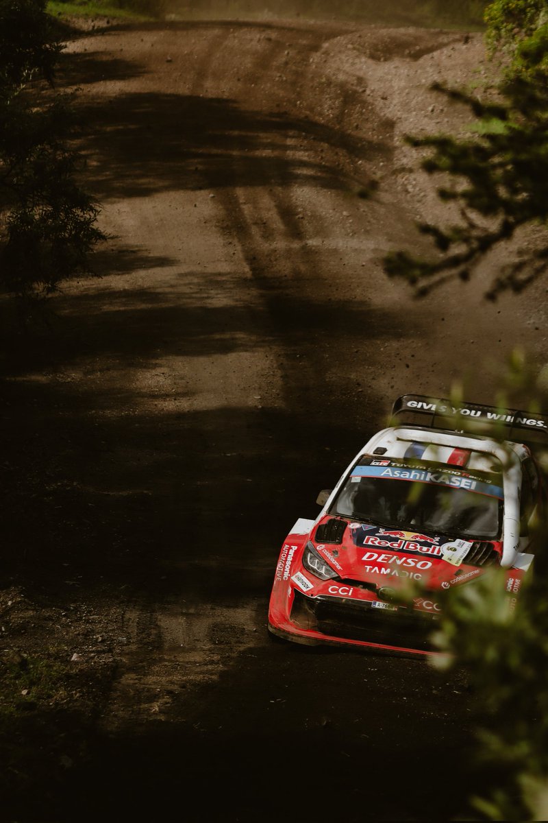 Stephanie tweet media