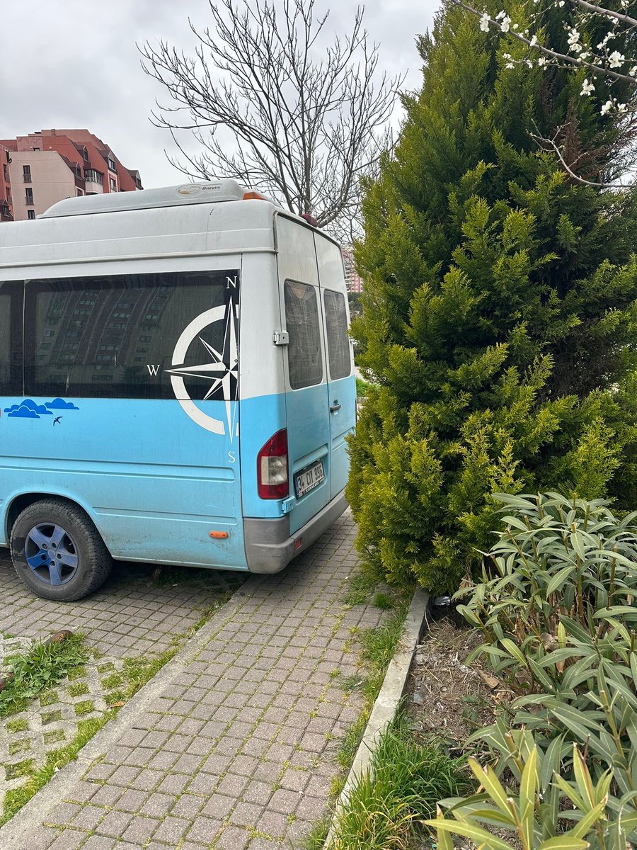 Bahçeşehir Gölet Gönüllüleri tweet media