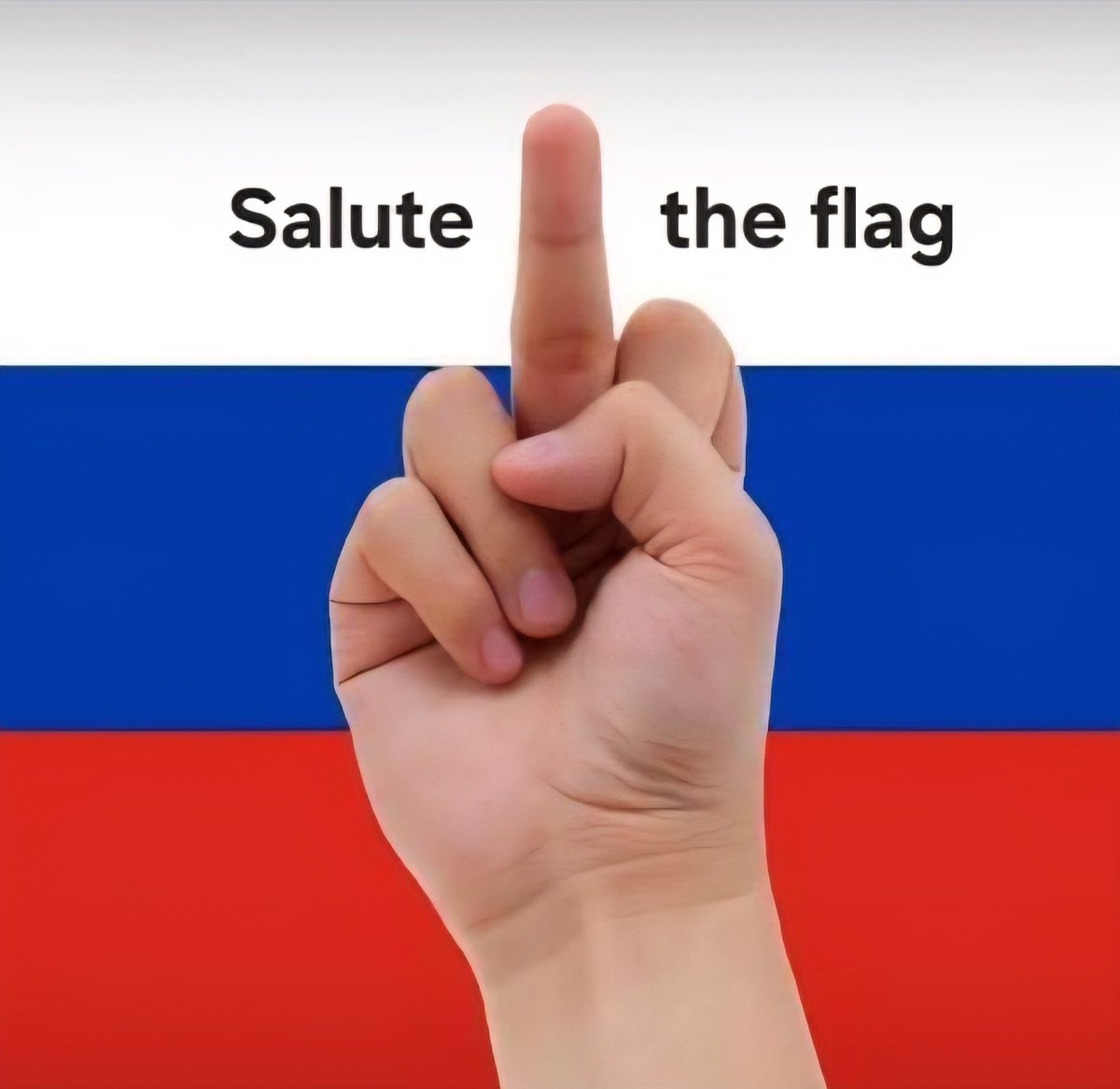 Thor V¡kingfella 🇳🇴🇺🇦🦈🦁 tweet media