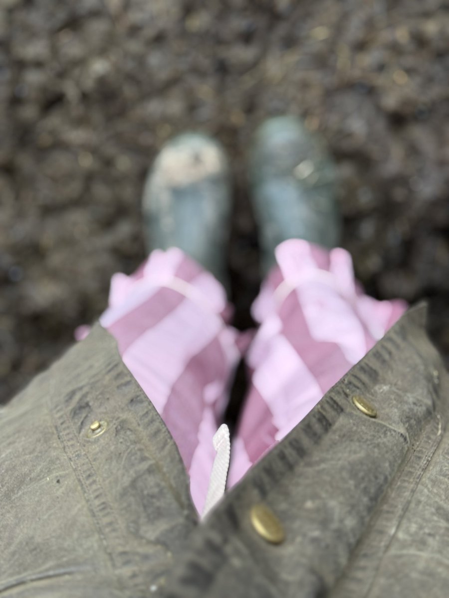 Alison O’Neill ~ Shepherdess tweet media