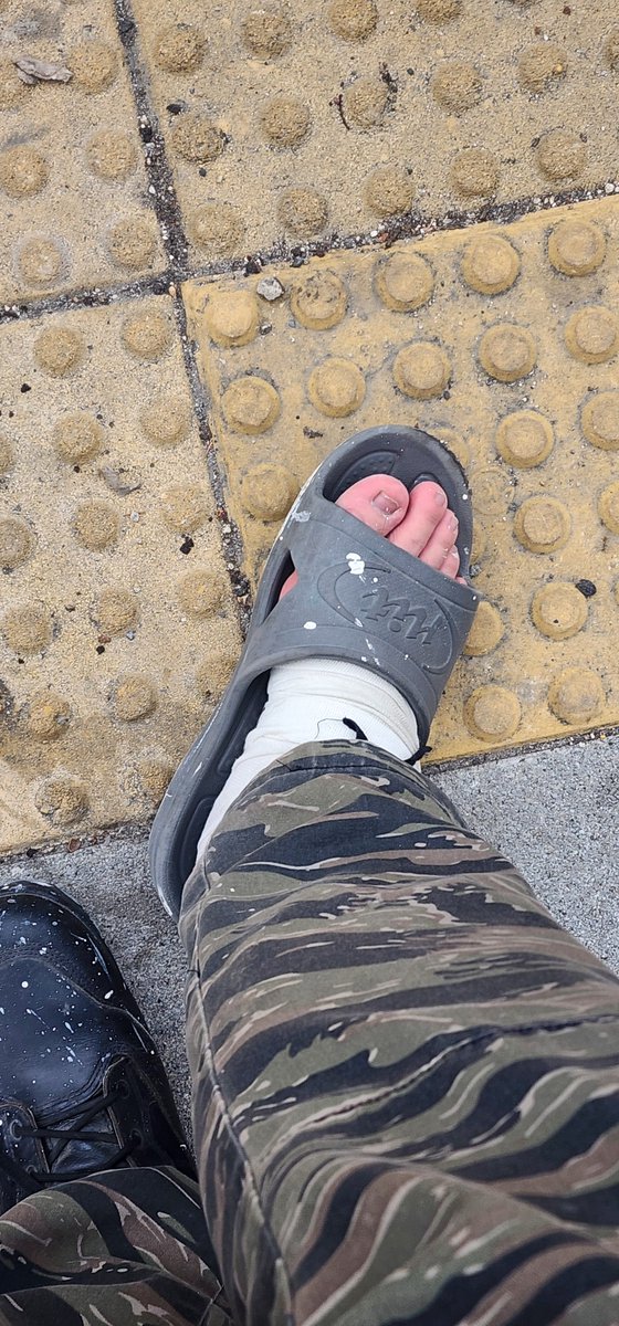 Wolfe K.Shephard tweet media